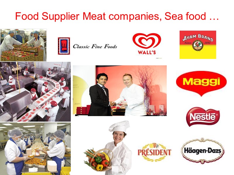 Food Supplier Meat companies, Sea food …
